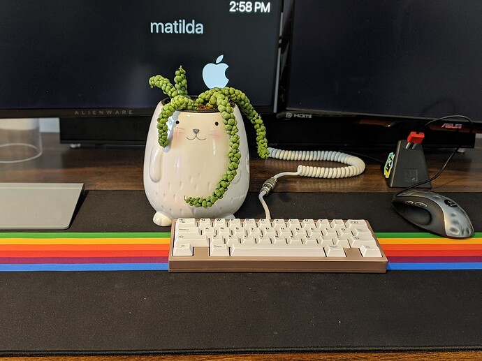 GMK BOTANICAL - Colour Matching Complete! Samples Approved!
