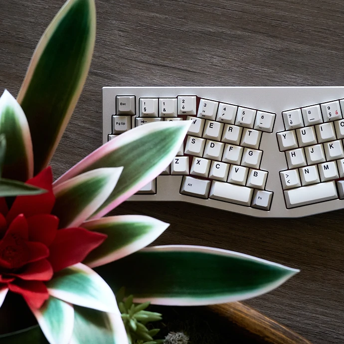 Merisi Dodici 实物图 2